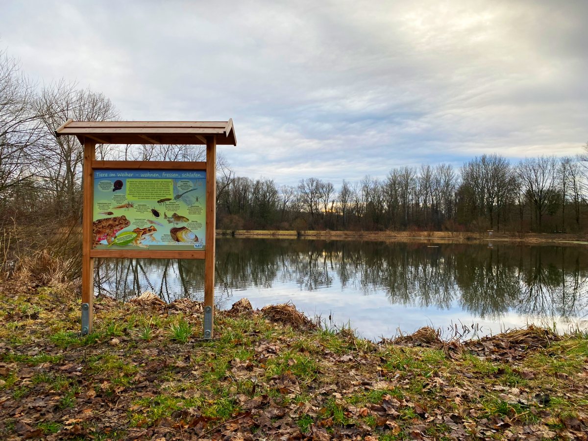 Ein Bild von einem Weiher mit einer Tafel im Vordergrund, auf der viele verschiedene Tiere und Lebensräume erklärt sind.