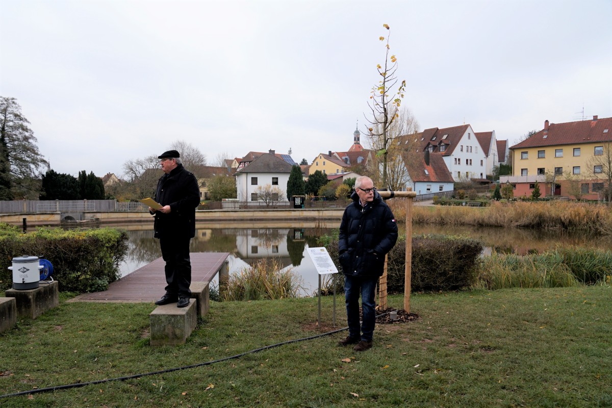 Zwei Männer stehen an einem Weiher vor einem frisch gepflanzten Baum in Heilsbronn