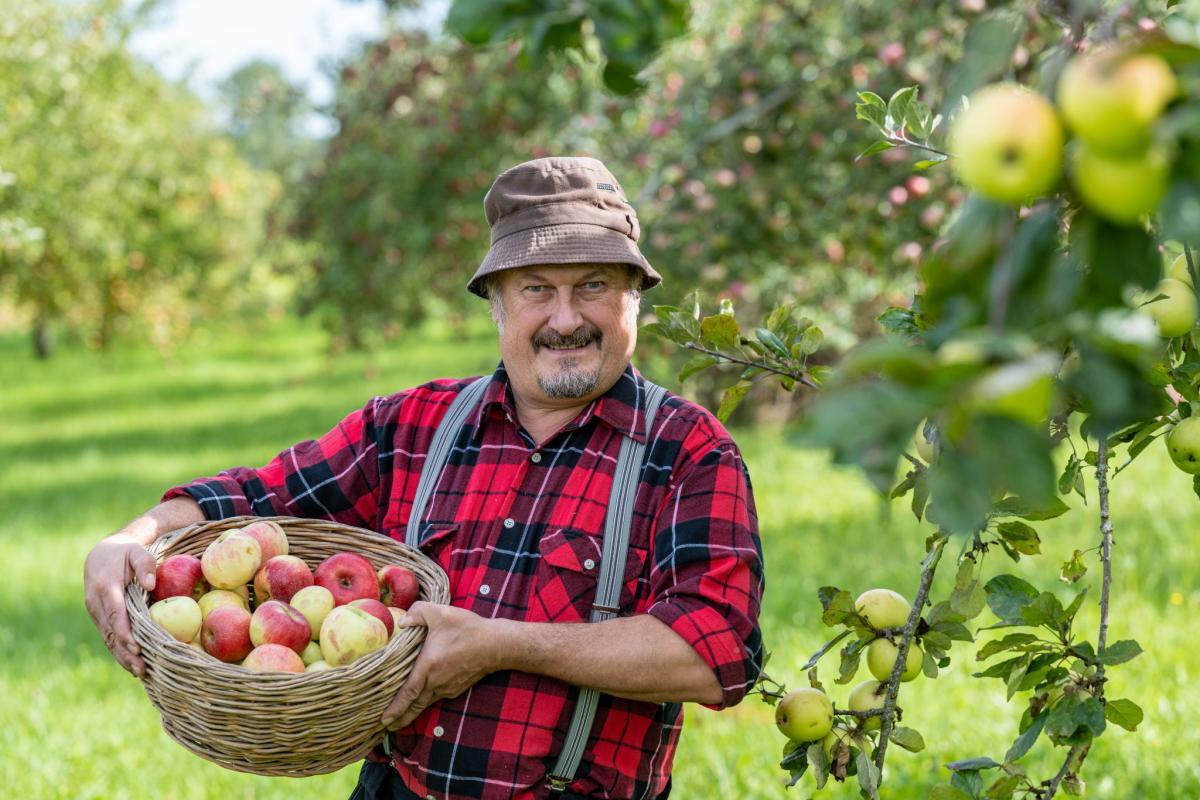 Ein Schlaraffenland für Obstliebhaber ist die Streuobstwiese der Mosterei Pompe