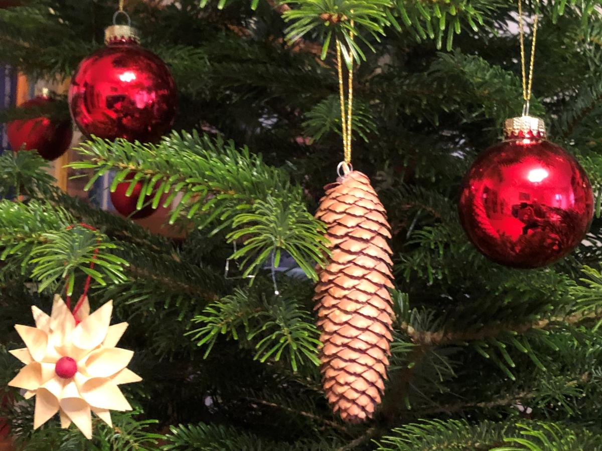 Rote, glänzende Kugeln, ein Tannenzapfen und Christbaumschmuck aus Holzspänen hängen an einem Nadelbaum.