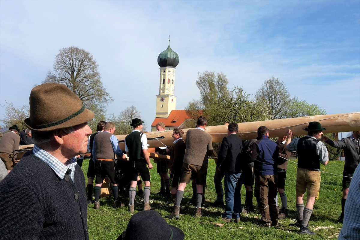 Mehrere Männer stellen vor einer Kirche einen Maibaum auf.